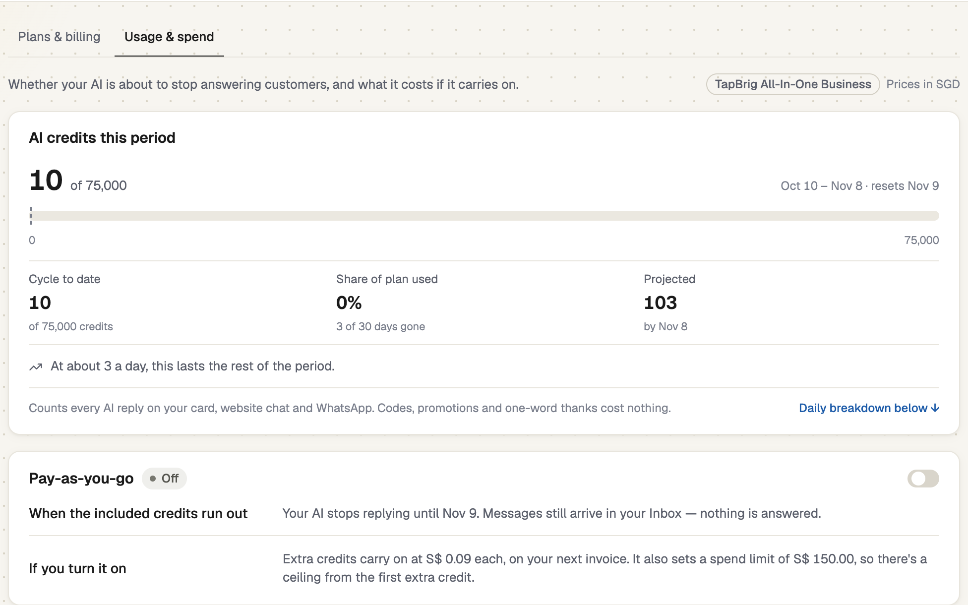 Usage and spend page with the AI credits meter and the Pay-as-you-go card